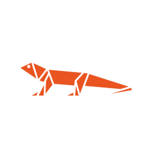 13.10 Saucy Salamander