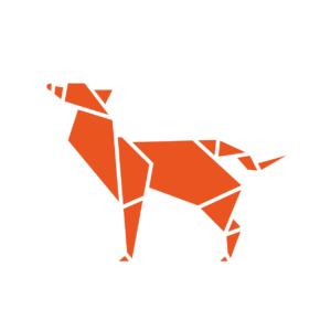 19.04 Disco Dingo