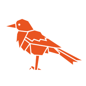 24.10 Oracular Oriole